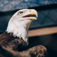 blog-post-1